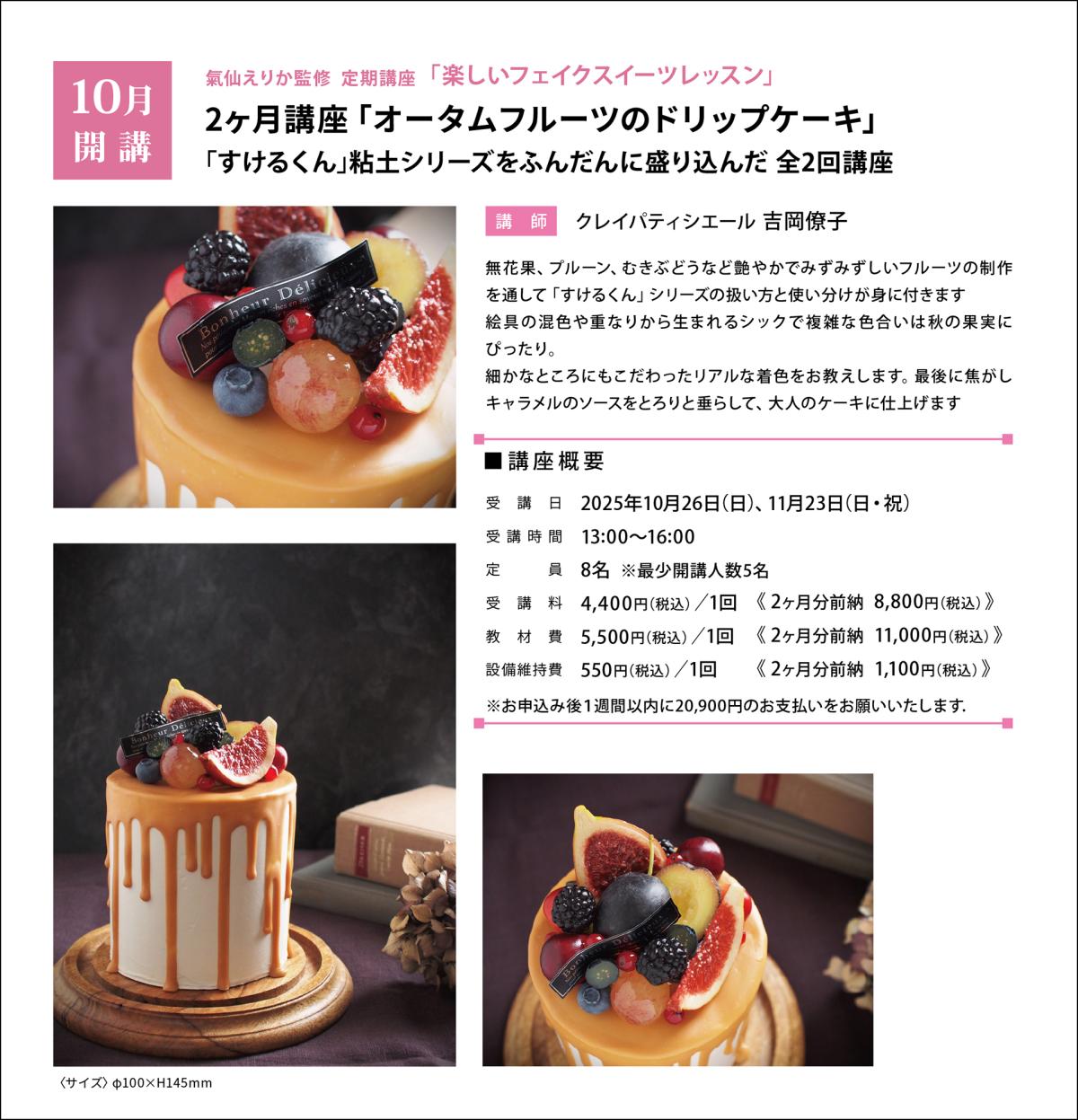 美鈴さま専用ページ♪フェイクスイーツ♪ maiさま専用ページ♪フェイクスイーツ♪ - メルカリ
