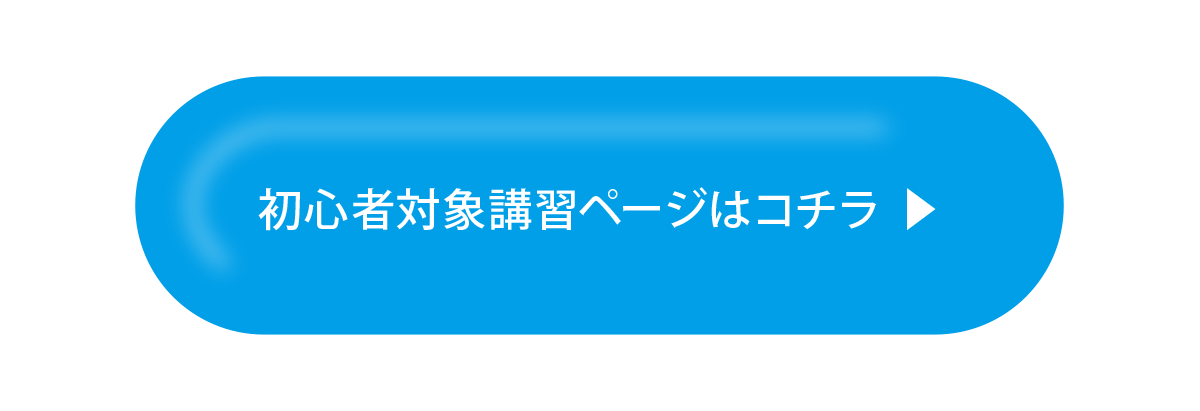 初心者対象